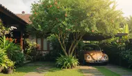 10 Pohon Buah Peneduh Mobil yang Tidak Mudah Menjatuhkan Buah Besar, Aman Lindungi Kendaraan