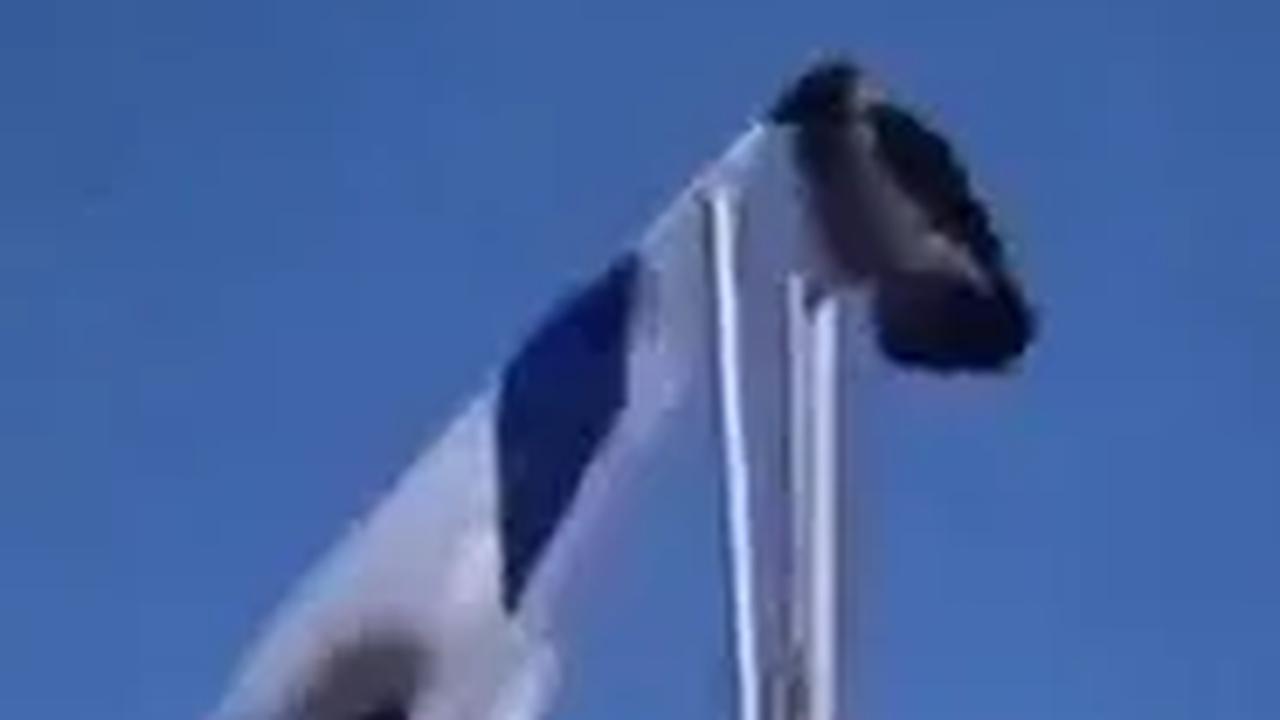 Burung Robek Bendera Israel