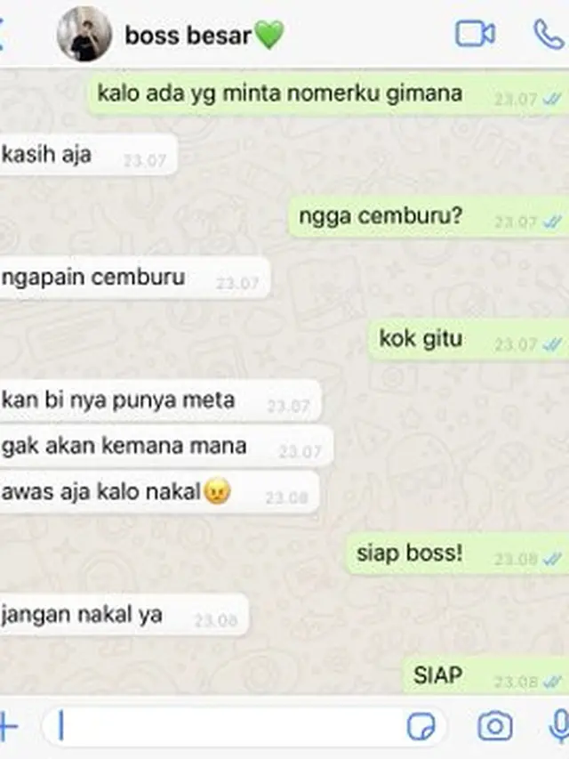 6 Chat 'Sayang Jangan Nakal' Ini Malah Bikin Jomblo Ngakak
