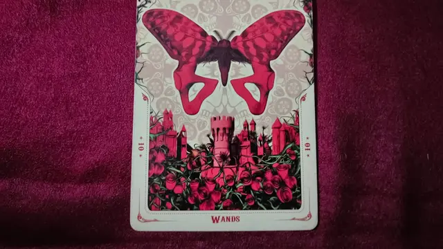 Tarot Cinta