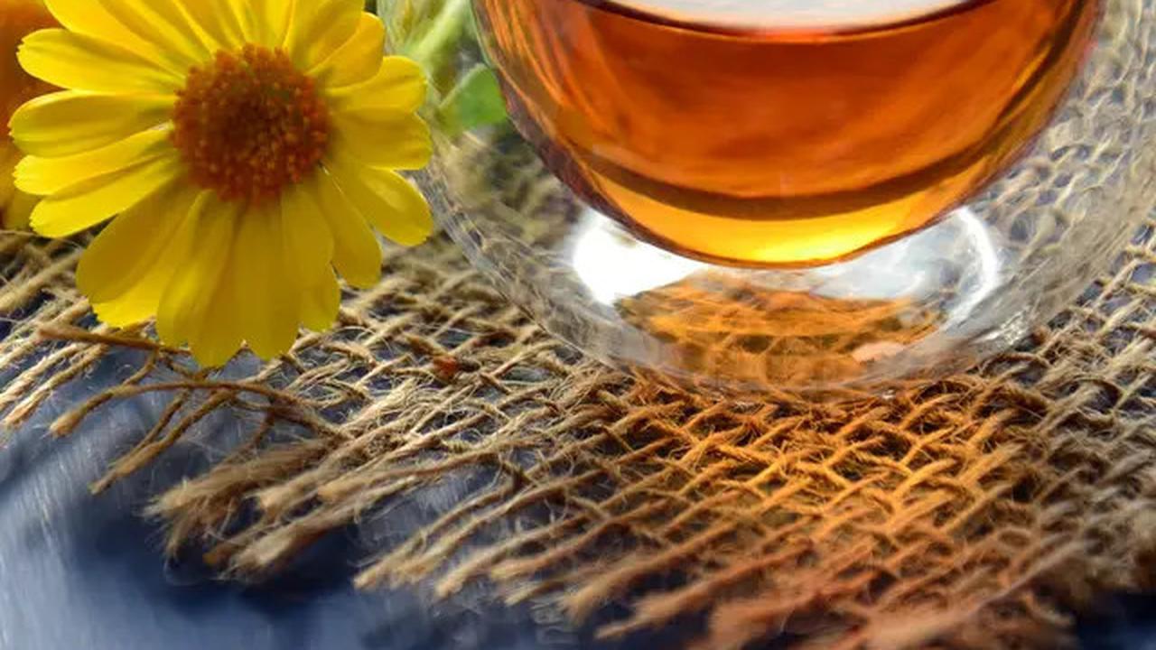 Jamu dari Tanaman Penurun Asam Urat dan Kolesterol di Sekitar Rumah yang Harus Anda Tahu