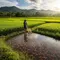 Ide Ternak Ikan dan Sawah dalam Satu Lahan/AI