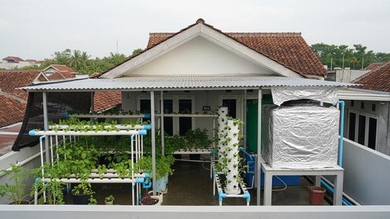 8 Kebun Hidroponik di Atap Rumah Biar Lahan Sempit Tetap Produktif, Panen Sayur Tanpa Lahan