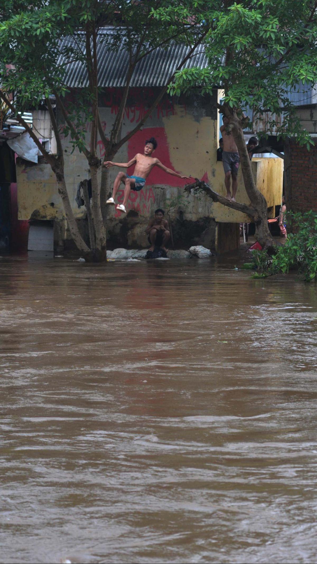 Tanpa pengaman apapun, mereka dengan santai melompat dari pohon dan bangunan, lalu menceburkan dirinya ke aliran Kali Ciliwung.&nbsp;Merdeka.com/Imam Buhori