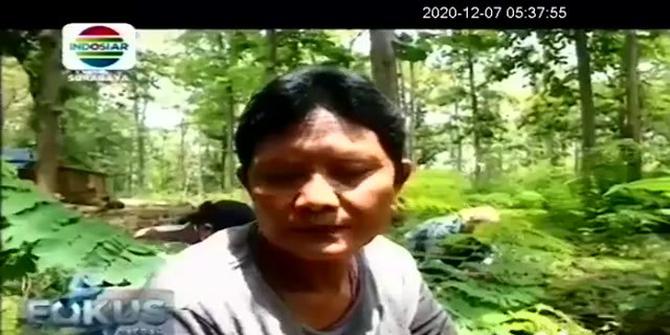 VIDEO: Tradisi Warga Pinggiran Hutan di Bojonegoro Cari Ulat Daun Jati