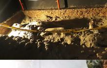 Sensasi Menjelajah Museum Kematian Unair, Pamerkan Kisah Kematian Unik dari Seluruh Penjuru Dunia