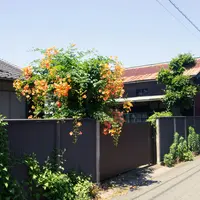 Ilustrasi Tembok Rumah (Credit: Hiro Ishii/Unsplash)