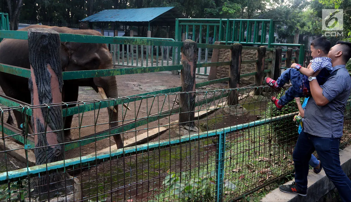 Seorang pengunjung menggendong bocah saat melihat gajah di Kebun Binatang Ragunan, Jakarta, Sabtu (16/6). Kebun Binatang Ragunan masih menjadi tempat favorit warga Jakarta untuk menghabiskan libur Lebaran. (Liputan6.com/JohanTallo)