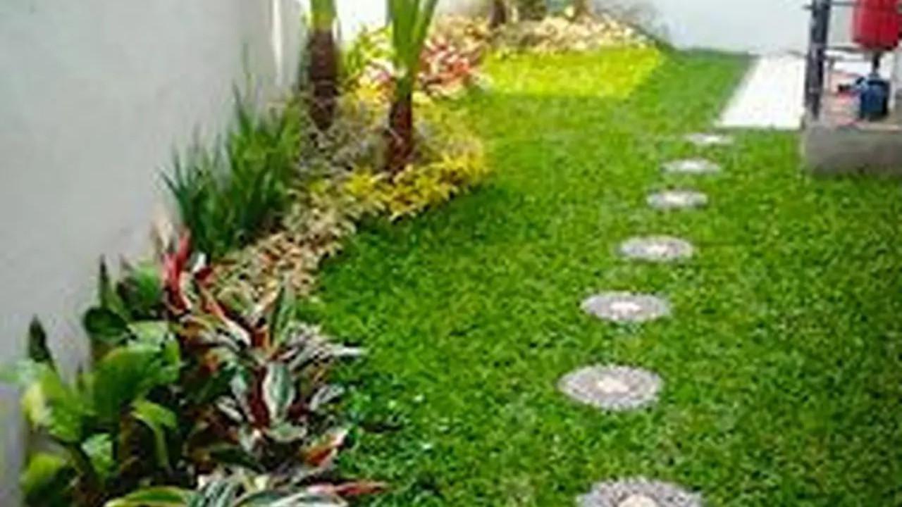 ide taman rumah minimalis