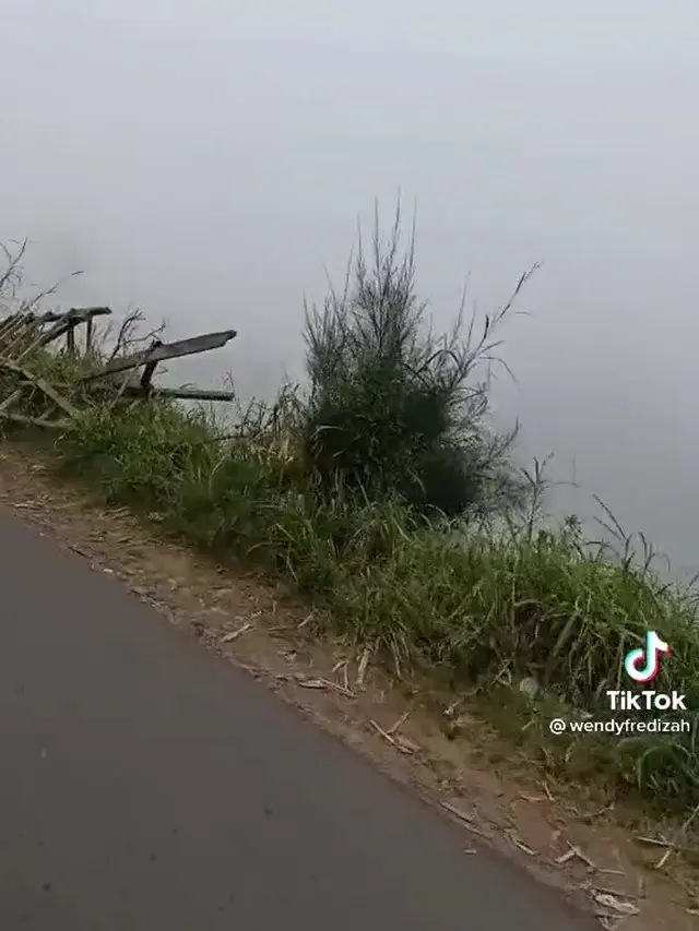Diarahkan Google Maps Belok Kanan ke Jurang,