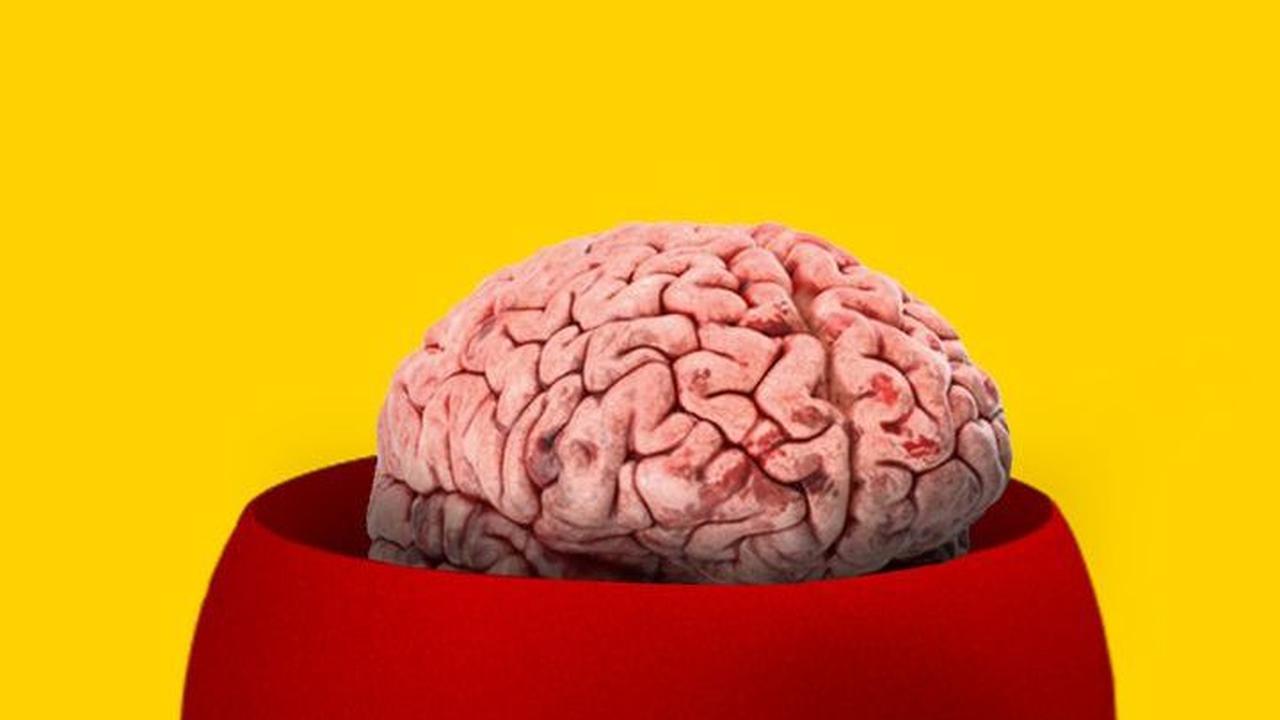 Sains Ungkap Cara Kerja Otak Orang-orang Psikopat