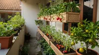 9 Inspirasi Edible Garden Buah Mini di Teras Sempit, Lahan Terbatas Jadi Kebun Produktif
