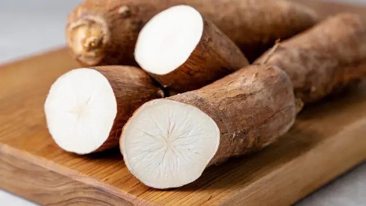 Cara Merebus Singkong di Magic Com, Empuk dan Pulen Tanpa Repot