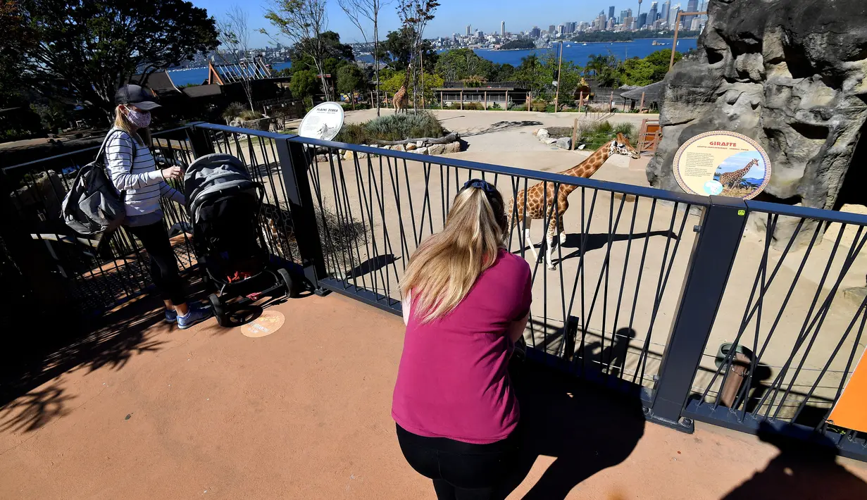 Keluarga mengunjungi kandang jerapah di Kebun Binatang Taronga di Sydney (18/10/2021). Kebun binatang Taronga membuka kembali pintunya bagi pengunjung yang divaksinasi setelah pencabutan pembatasan penguncian Sydney. (AFP/Saeed Khan)