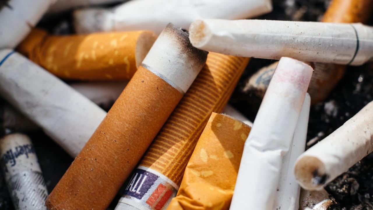 Riset Global di Unpad Ungkap Potensi Produk Pengurangan Risiko Rokok