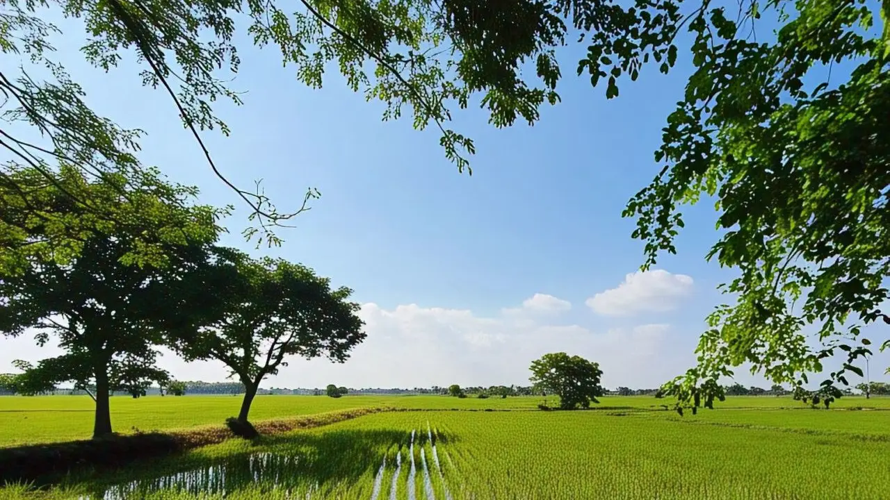 Referensi Objek Lukisan Sawah untuk Anak-Anak/Nurul Diva Kautsar AI