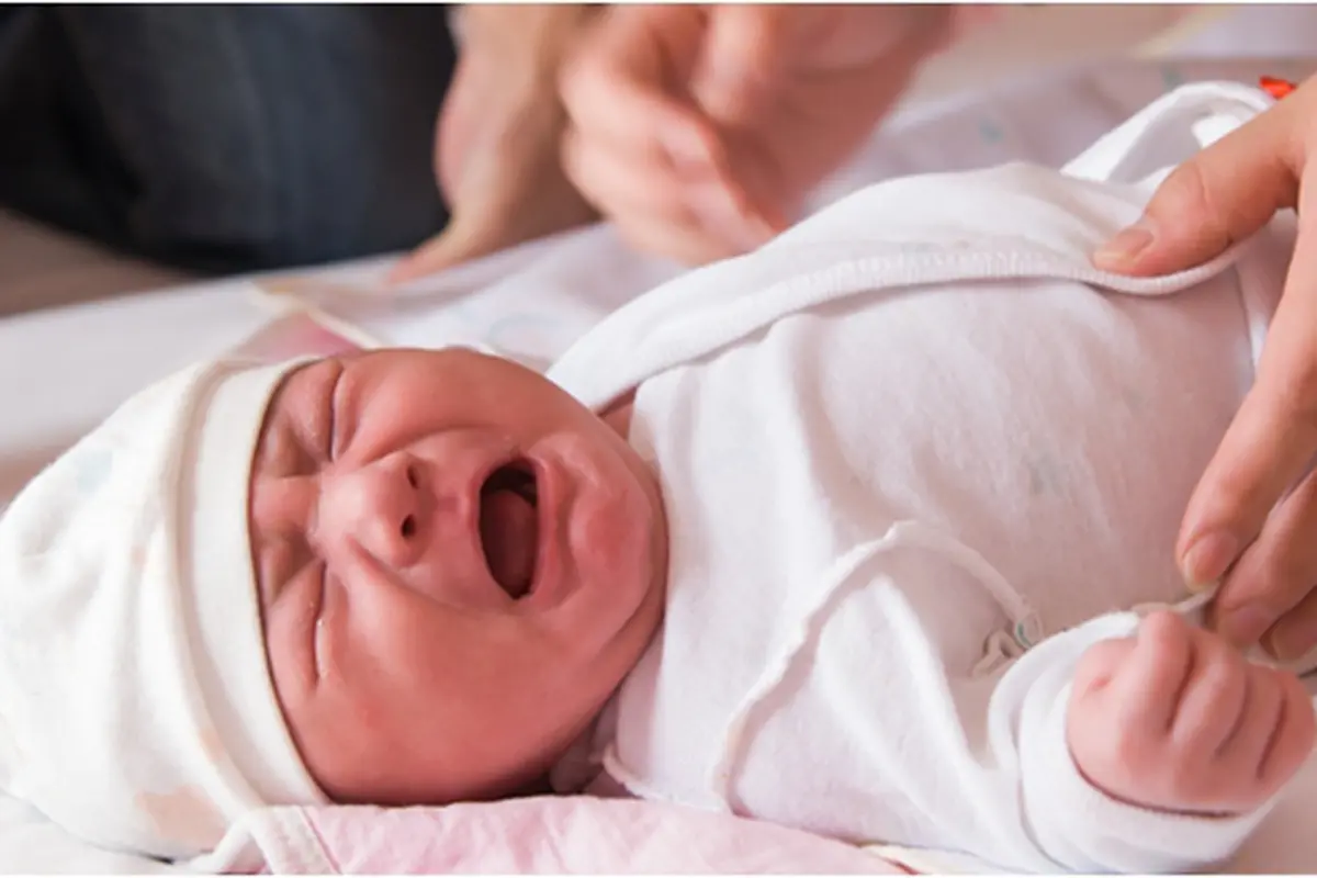 Courtesy ShutterStock.com