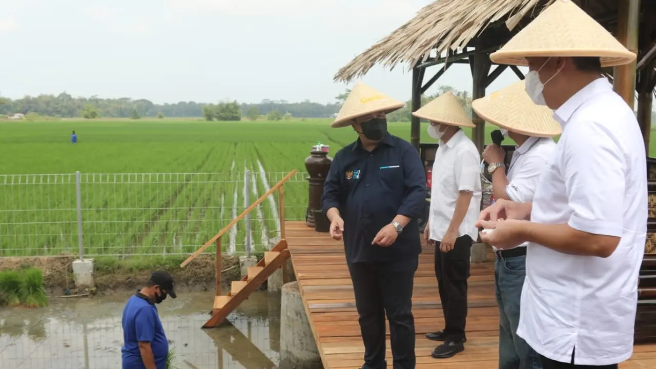 Menteri BUMN Erick Thohir meninjau Sentra Pengolahan Beras Terpadu (SPBT) di Desa Kaliputih, Kutowinangun, Kebumen, Jawa Tengah, Minggu, 23 Mei 2020. Dok BUMN