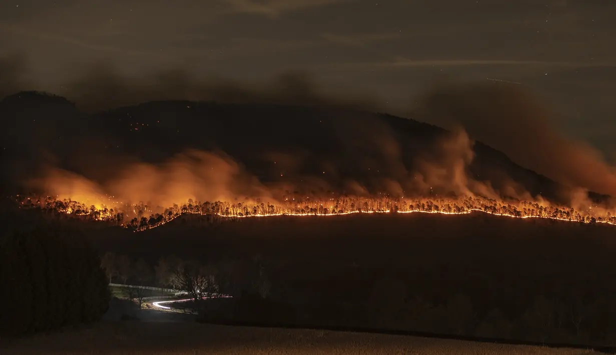 Api berkobar di sepanjang bagian bawah Pilot Mountain di North Carolina, AS (29/11/2021). Kebakaran yang dilaporkan telah dimulai Sabtu malam, telah membakar lebih dari 500 hektar pada Senin malam.  (Walt Unks/The Winston-Salem Journal via AP)