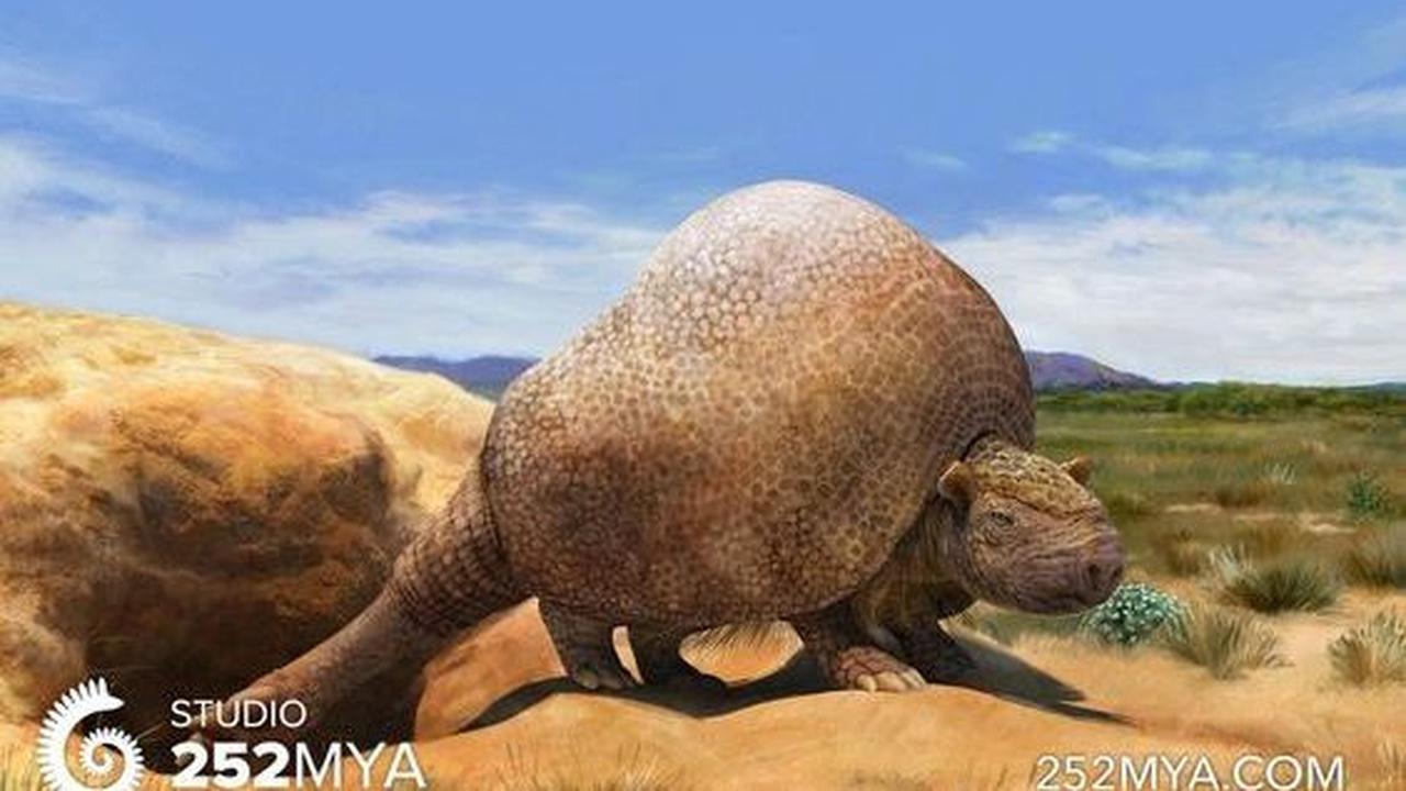 3. Glyptodont