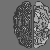 Ilustrasi tentang otak dan kecerdasan. (Sumber Pixabay)