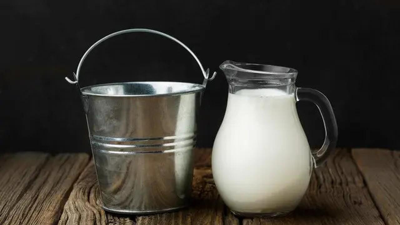 4 Rekomendasi Minuman yang Menyehatkan Ginjal, Jangan Lupa Dikonsumsi Rutin