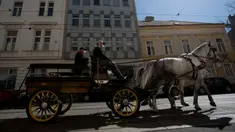 Pengemudi mengendarai kereta kuda di depan Hotel Intercontinental di distrik ke-3 di Wina, Austria pada 8 April 2020. Kereta yang disebut Fiaker yang biasanya mengangkut turis semenjak pandemi Corona beralih fungsi menjadi pengantar makanan untuk lanjut usia di daerah tersebut. (ALEX HALADA/AFP)