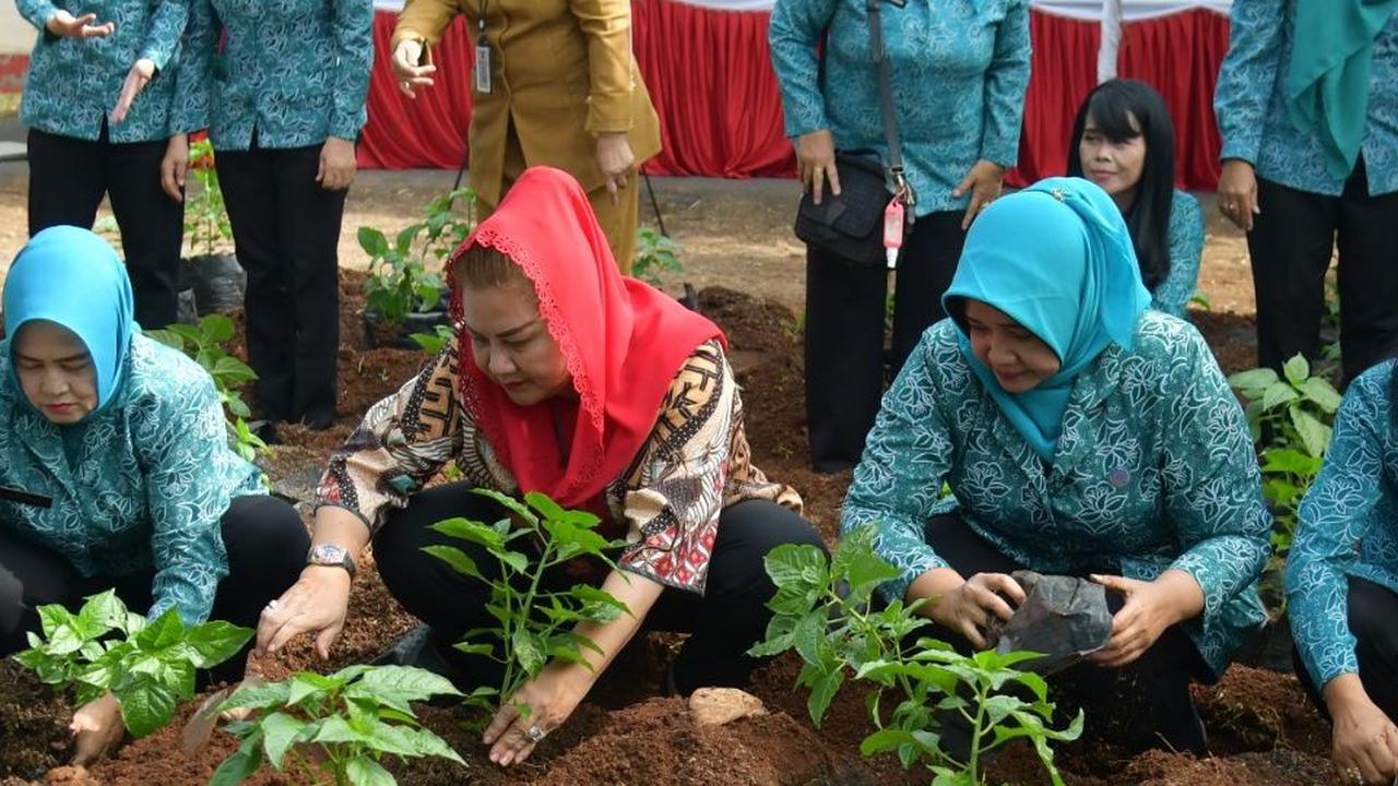 Strategi Wali Kota Jaga Ketahanan Pangan di Kota Semarang