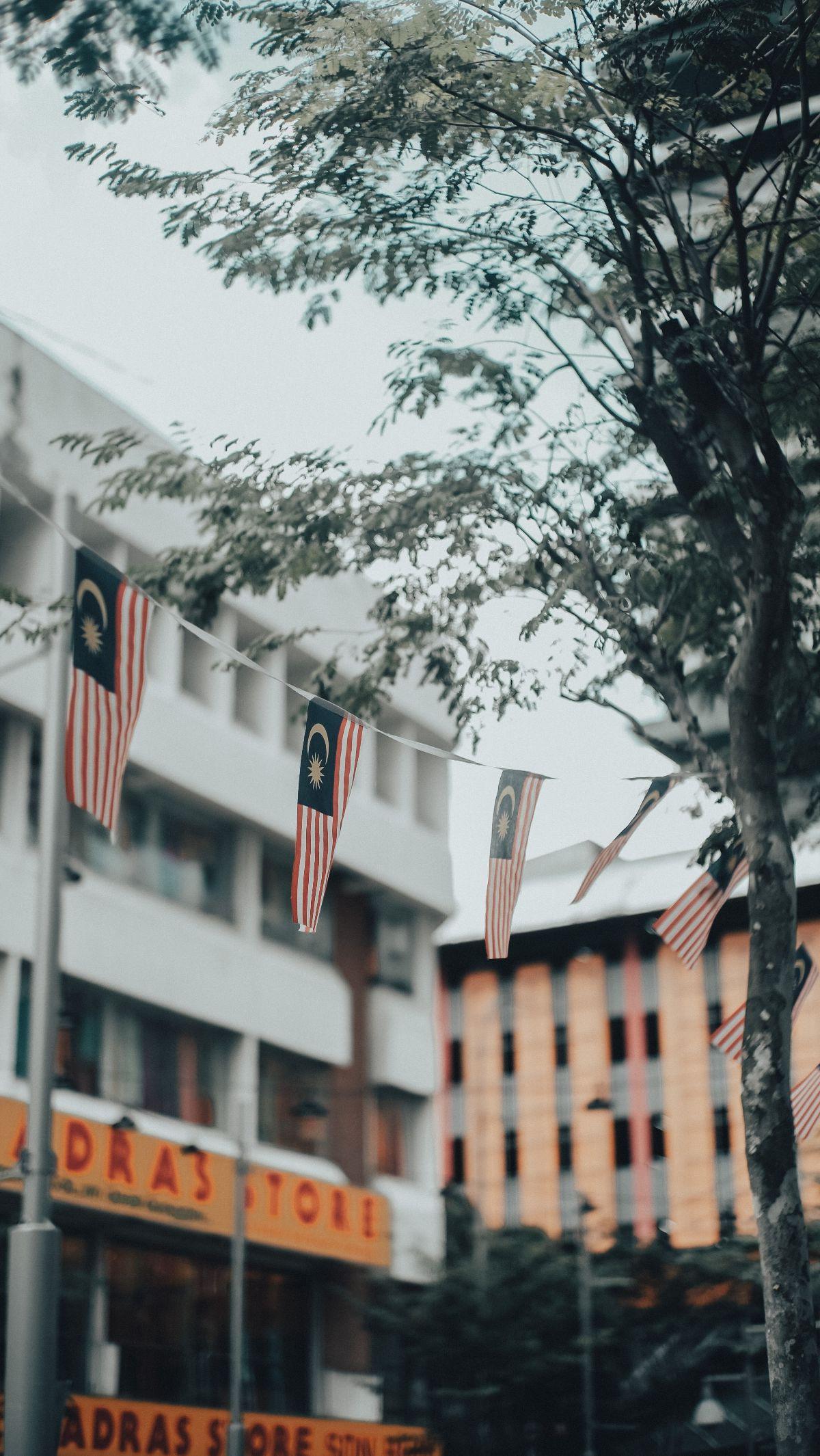 Diketahui secara umum, bentuk negara Malaysia adalah federal yang terdiri dari 13 negeri, dan 3 wilayah persekutuan. Setiap wilayah di Malaysia dipimpin oleh raja, yang memiliki tugas seperti gubernur di Indonesia. Ibu kota negara Malaysia adalah Kuala Lu