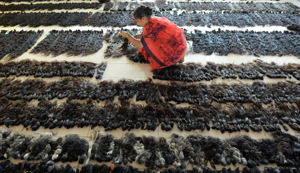 Pekerja menata rambut palsu sesuai ukuran panjang dan tektursnya di   pusat pengolahan Raj Hair International di Alinjivakkam, India (25/7). (AFP Photo/Arun Sankar)