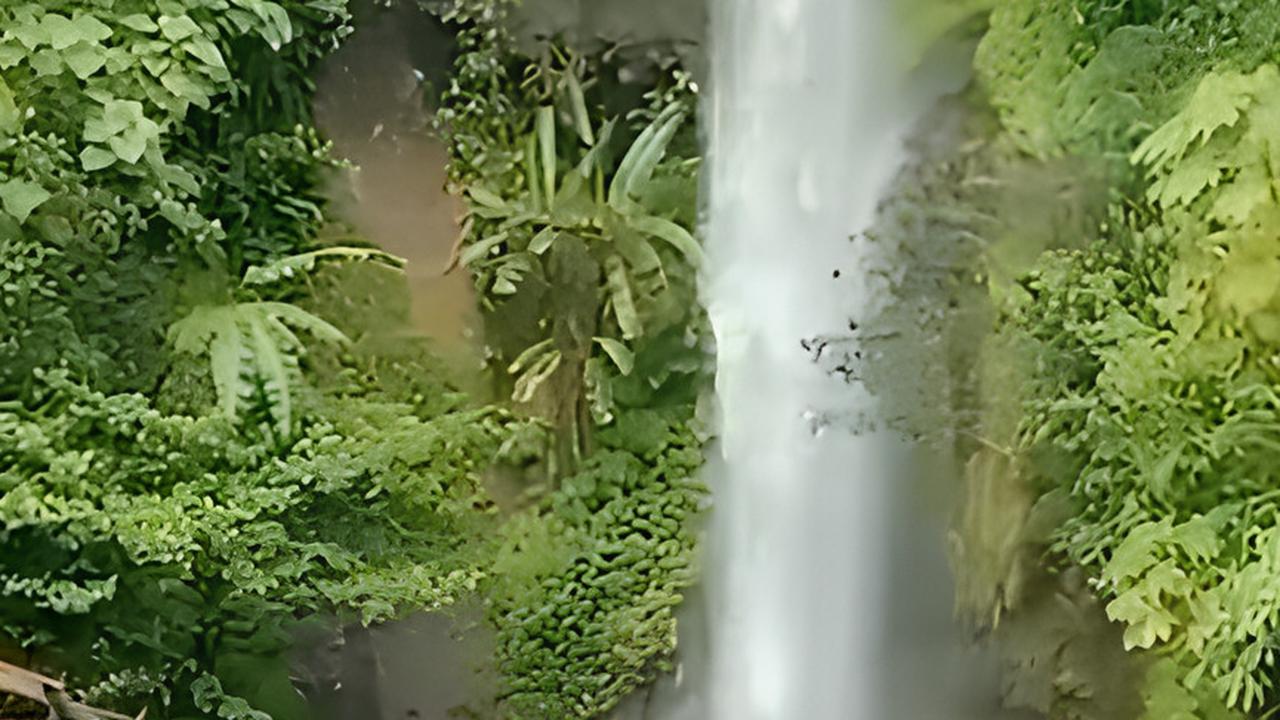 Beda dari yang Lain, Intip Keunikan Curug Ceret Naringgul di Cianjur yang Letaknya di Pinggir Jalan