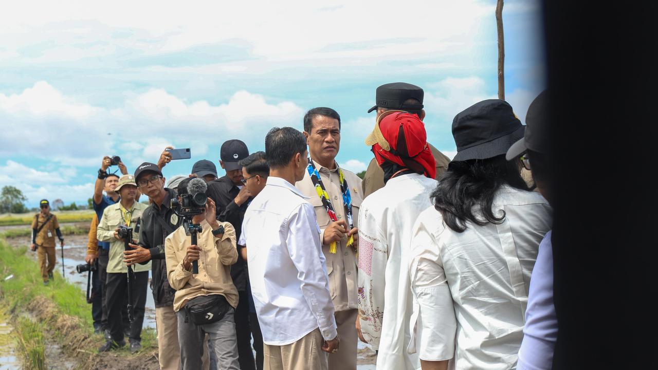 Tanam Padi 3 Kali Setahun, Kalsel Bisa Jadi Lumbung Pangan Nasional
