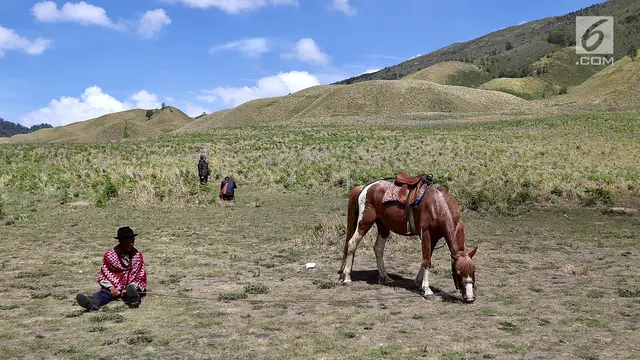 PHOTO: Berpetualang di Gunung Bromo dengan Joki Berkuda