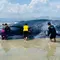 Paus Biru Terdampar di Taman Laut 17 Pulau Riung NTT