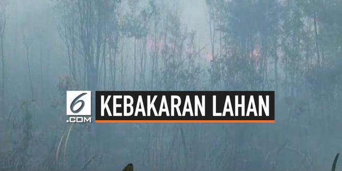 VIDEO: Ini Penyebab Kebakaran Lahan Sulit Dipadamkan