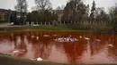 Orang-orang mandi dalam kolam warna merah untuk menandakan darah selama protes di depan kedubes Rusia di Vilnius, Lithuania, Kamis (7/4/2022). Pejabat Ukraina mengatakan 410 jasad warga sipil ditemukan di kota-kota wilayah Kiev yang baru-baru ini direbut kembali. (AP Photo/Mindaugas Kulbis)