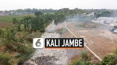 Hamparan sampah kembali memenuhi Kali Jambe Kabupaten Bekasi. Sampah terbawa saat hujen mengguyur wilayah Bekasi beberapa hari lalu. Pemkab Bekasi berencana membersihkan Kali Jambe Sabtu 2 Nopember 2019.