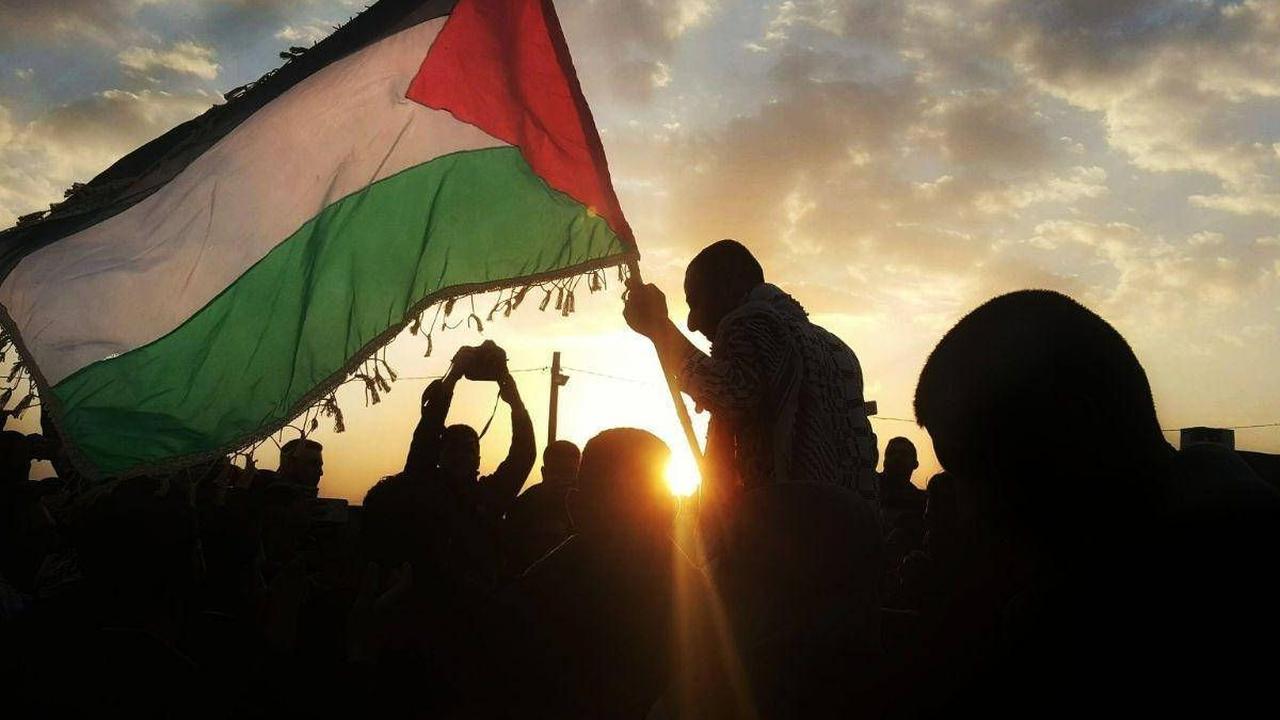 Free Palestine Artinya Apa? Berikut Penjelasan Maknanya yang Begitu Dalam