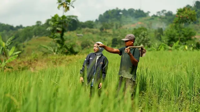 BRI Salurkan KUR Rp144,59 Triliun ke 2,76 Juta Debitur, Sektor Produksi Mendominasi