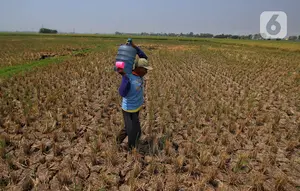 Kekeringan Ancam 12 Kecamatan di Kabupaten Tangerang