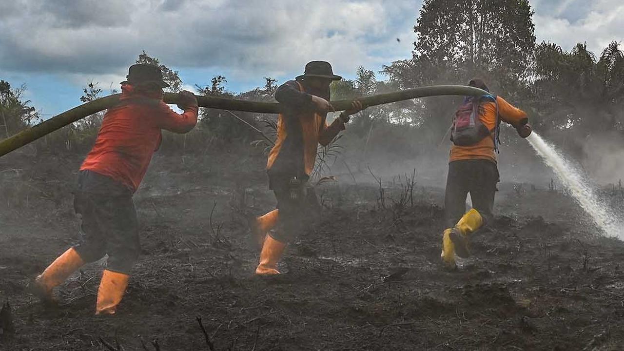 FOTO: Semangat Petugas BPBD Aceh Barat di Tengah Sulitnya Memadamkan Api di Hutan Gambut