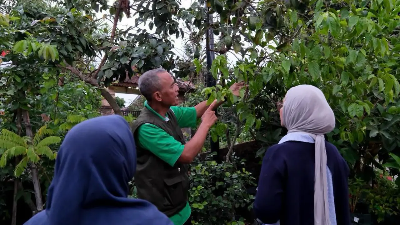 15 Paket Tur Gastronomi Hasil Kurasi Kemenpar, Salah Satunya Wisata Kopi Lokal di Danau Toba