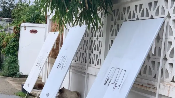 Dari Spanduk Bekas, Komunitas di Thailand Bikin Rumah Lipat untuk Anjing Liar di Thailand