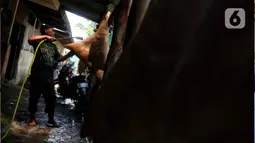 Pekerja mencuci kulit sapi untuk pembuatan kerupuk kulit produksi rumahan di Katulampa, Bogor, Jawa Barat, Sabtu (17/9/2022). Menko bidang Perekonomian, Airlangga Hartarto mengatakan, urgensi peran UMKM menjadi perhatian utama pemerintah untuk dapat memberikan dukungan bagi pelaku usaha. Salah satunya melalui akses pembiayaan KUR yang besar. (Liputan6.com/Angga Yuniar)