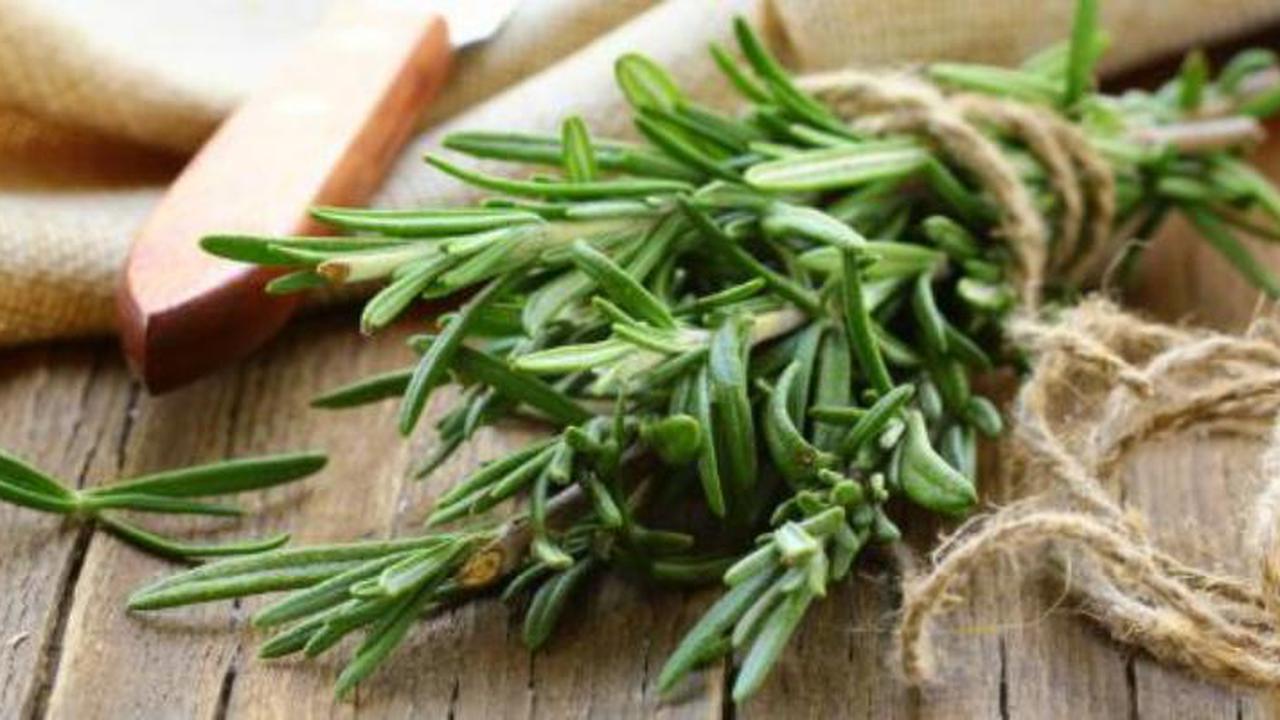 Ingin Umur Panjang? Tambahkan Rosemary dalam Menu Setiap Hari
