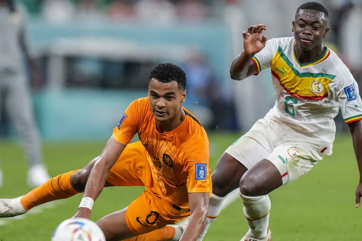 Grup A Piala Dunia 2022: Senegal vs Belanda