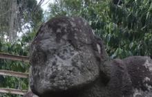 Menguak Situs Batu Megalitik Pasemah, Lanskap Peradaban Sumatra Selatan di Lereng Gunung Dempo