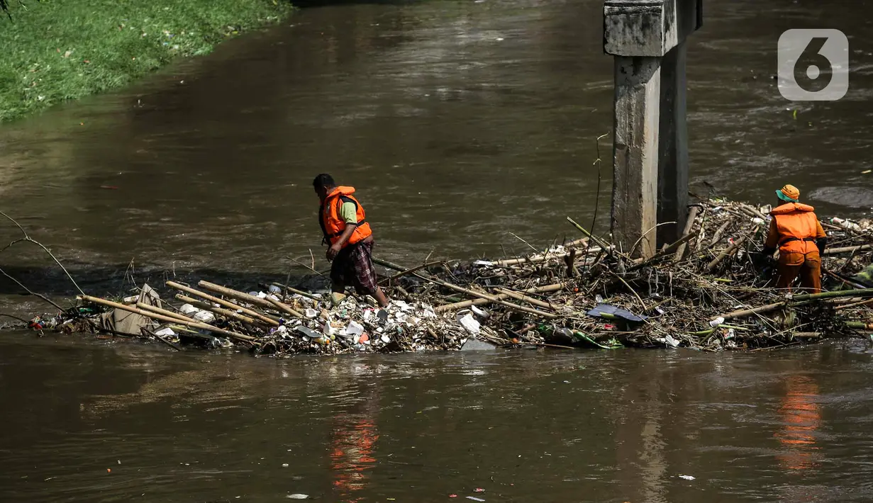 Petugas PPSU membersihkan sampah yang tersangkut di tengah derasnya aliran Kali Ciliwung, Jakarta, Rabu (19/5/2021). Pembersihan tersebut dimaksudkan agar tidak ada penumpukan sampah dan sedimentasi saluran di sepanjang Kali Ciliwung. (Liputan6.com/Faizal Fanani)