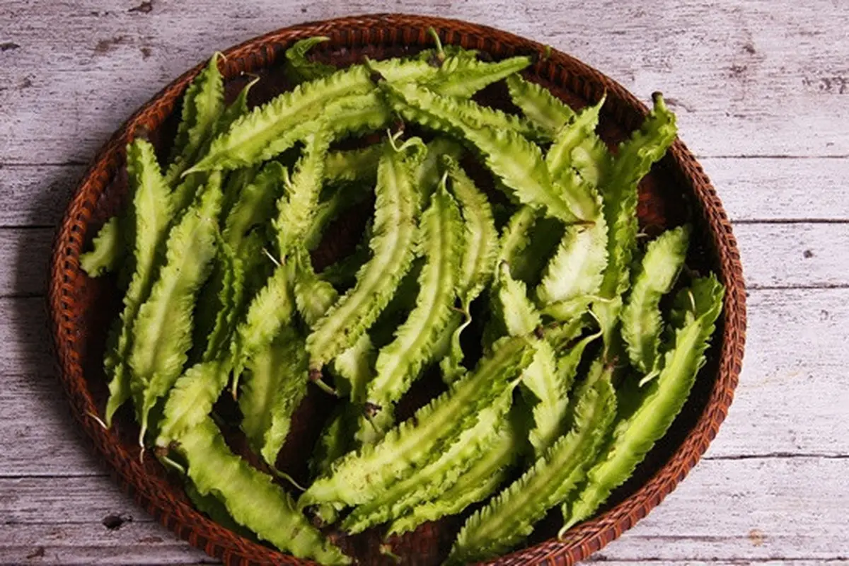 7 Manfaat Kecipir, dari Turunkan berat Badan hingga Cegah Penuaan Dini