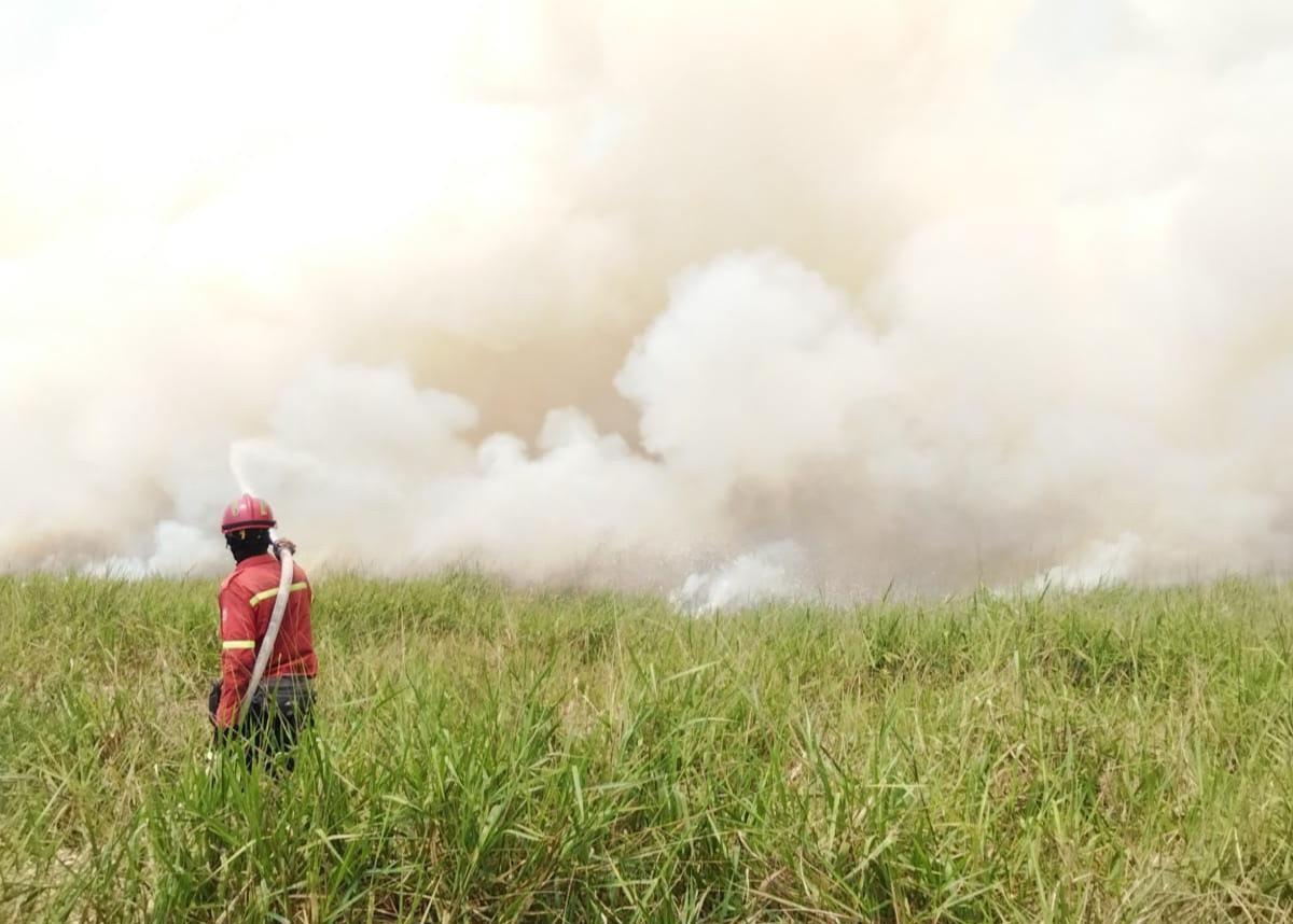Petugas memadamkan api di Taman Nasional Sembilang. (Istimewa).